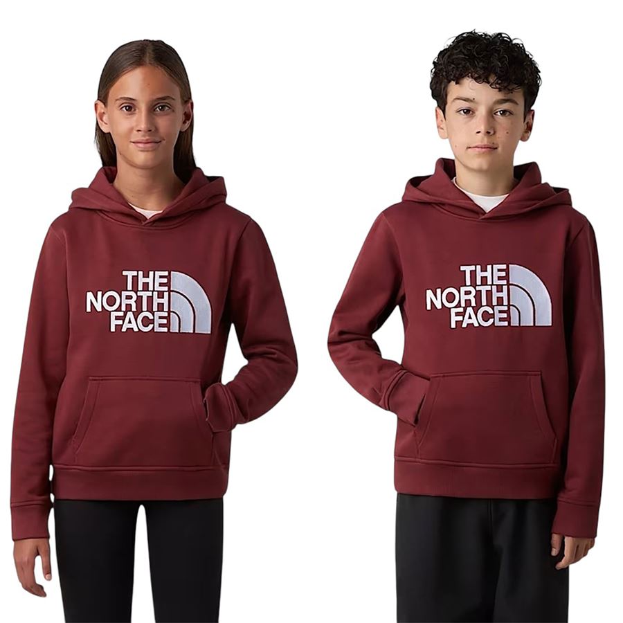  The North Face | NF0A8EHH0VO